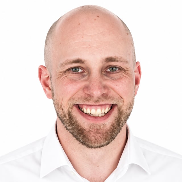 Henri Molin - Maya consulting